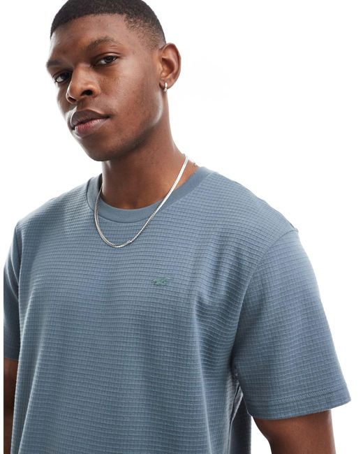 Hollister Blue Icon Logo Textural Grid Relaxed Fit T-shirt for men
