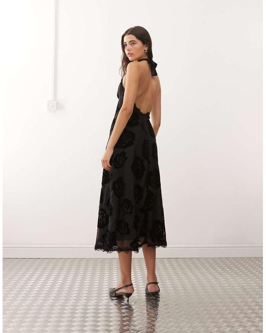 Lioness Black Stars Align Halterneck Lace Trim Open Back Devore Dress