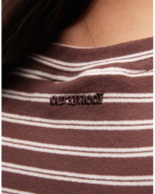 CERNUCCI Brown Crop Top