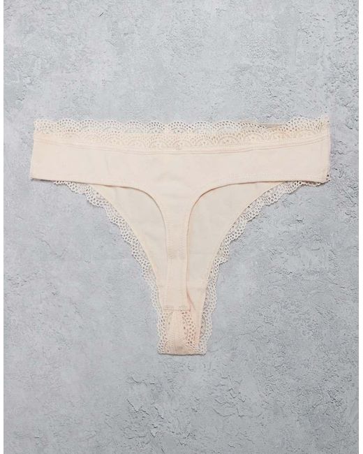 DORINA Multicolor Essential 5 Pack Cotton Thong