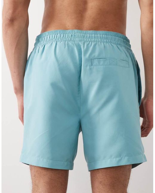 Threadbare Blue Swim Shorts With Flamingo Graphic for men