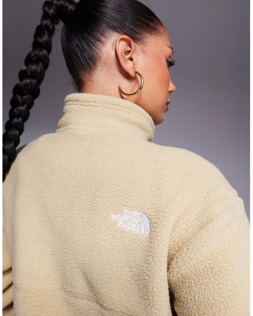 The North Face Natural Yumiori Quarter Zip Fleece