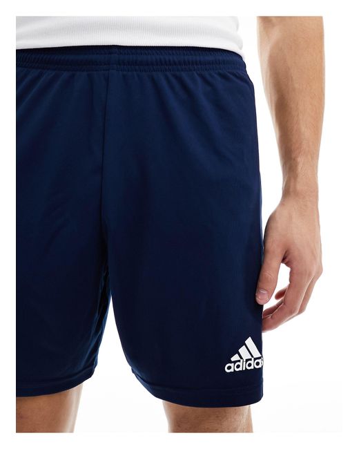 Adidas football - squadra 21 - short Adidas Originals en coloris Blue