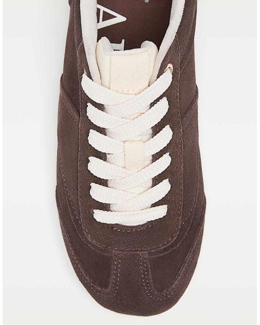 Stradivarius Brown Soft Leather Trainers