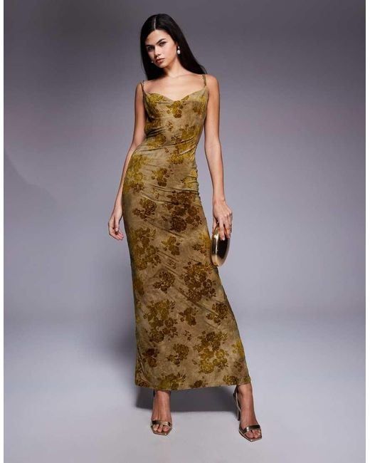Tiger Mist Green Sparrow Devore Cowl Neck Bead Back Detail Maxi Dress