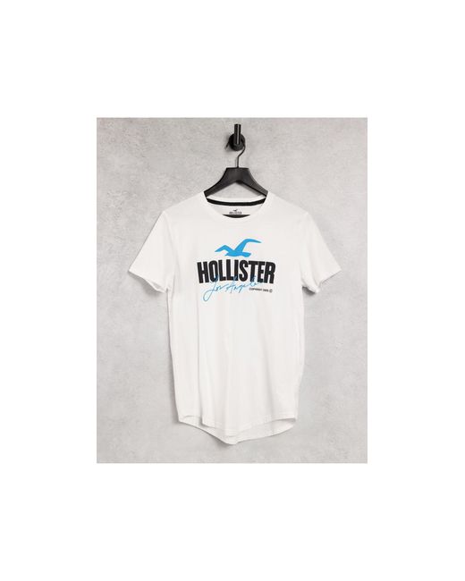 hollister white shirt