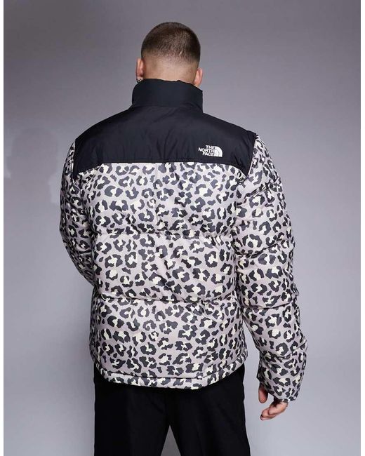 Saikuru di The North Face in Gray