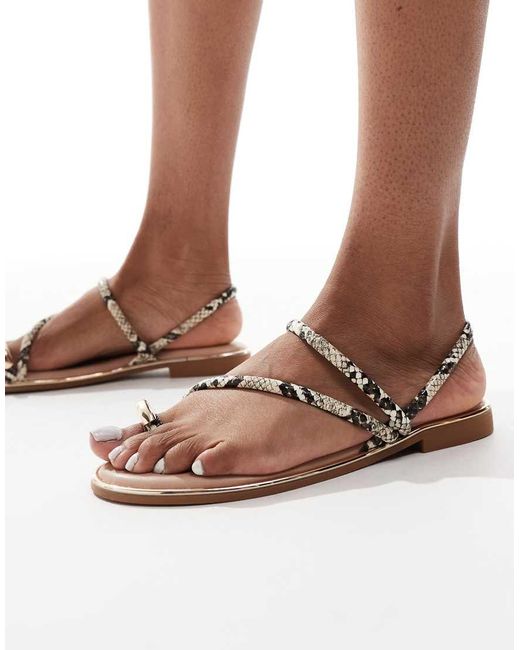New Look Brown Metal Toe Loop Sandals
