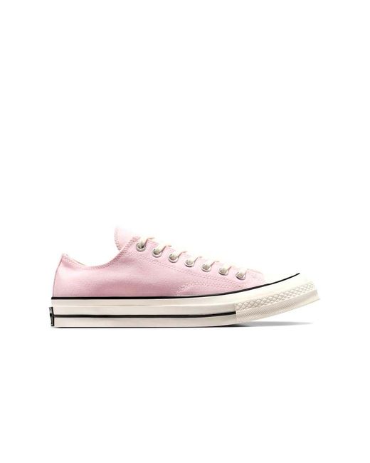 Chuck 70 di Converse in Pink
