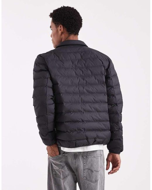 Fred Perry Blue Collared Insulated Padded Jacket for men
