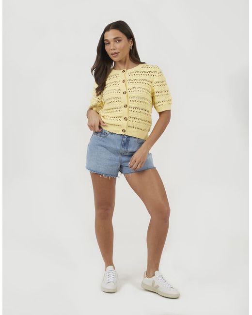 Brave Soul Yellow Short Sleeve Pointelle Knit Crew Neck Cardigan