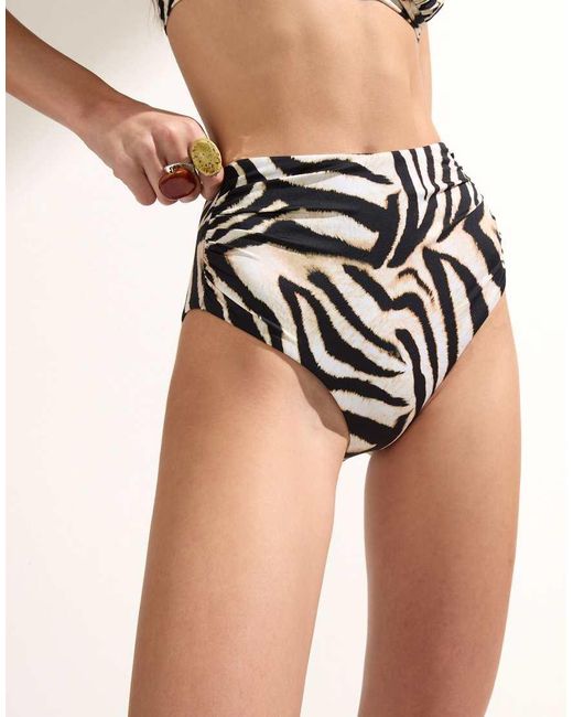 Calzedonia Black Savannah Zebra