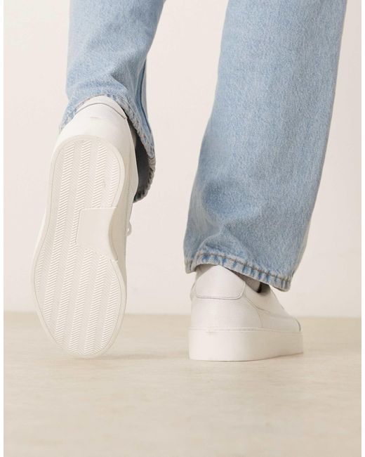 Noak Blue Made for men