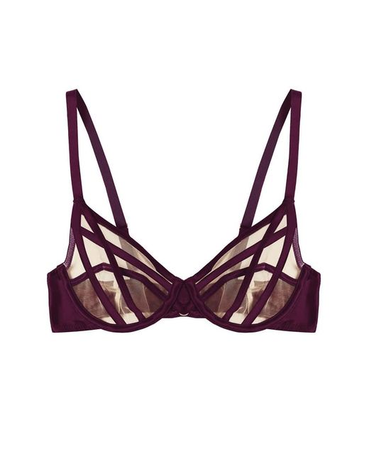 Playful Promises Brown Ramona Plunge Bra