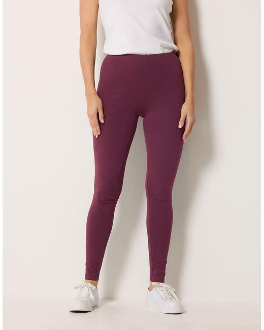 Long Tall Sally Purple Cotton Stretch Leggings