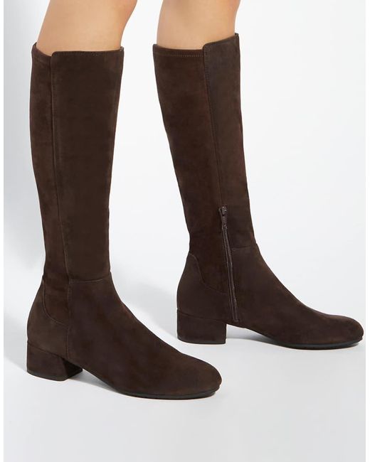 Dune Brown Wide Fit Wf Tayla Knee High Boots