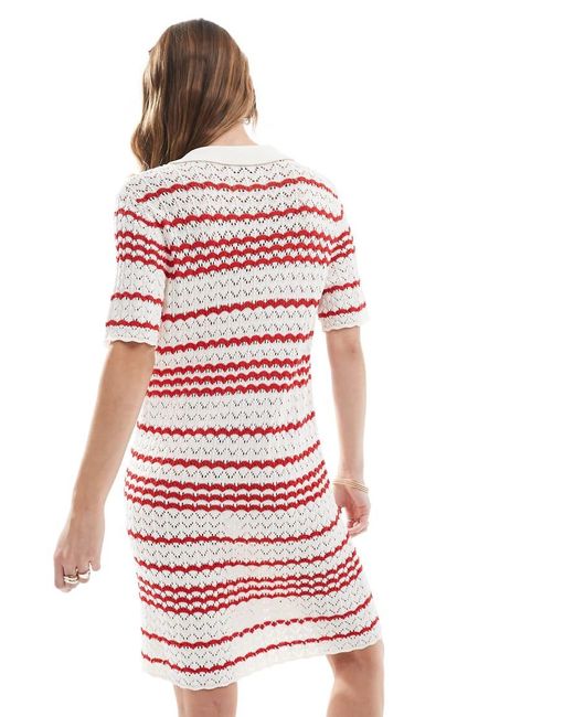 Miss Selfridge Gehaakte Gebreide Polojurk Met Contrast En Knoopsluiting in het Red