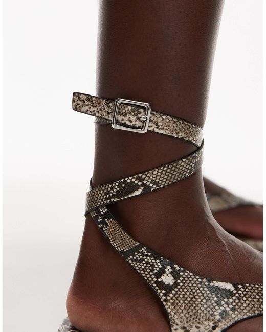 TOPSHOP Brown – jeremiah – zehensteg-sandale