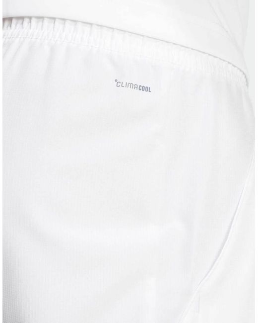 Adidas Originals White Adidas Training Club Tennis Climacool Shorts for men