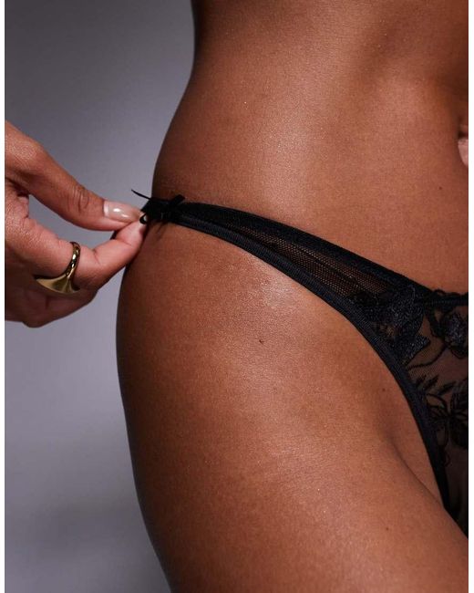 ASOS Brown Tate Premium Floral Embroidery Tanga Lingerie Thong