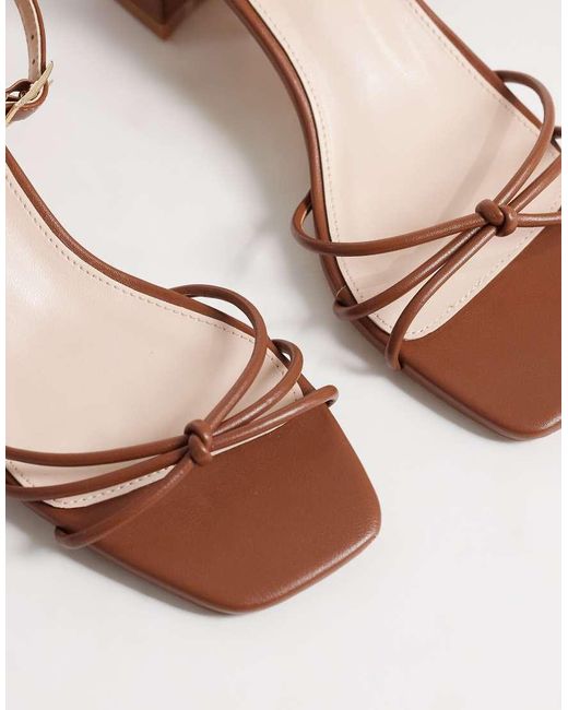 Evalina di Raid in Brown