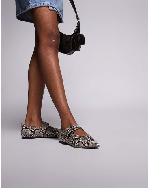Bailarinas Con Estampado De Serpiente, Puntera Fina Y Detalle De Hebilla De -Gris River Island de color Brown