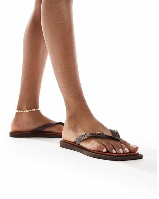 Havaianas Brown Square Toe Flip Flops