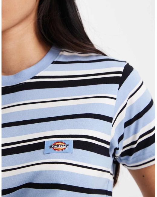 Dickies Blue Glade Spring Striped Baby Tee