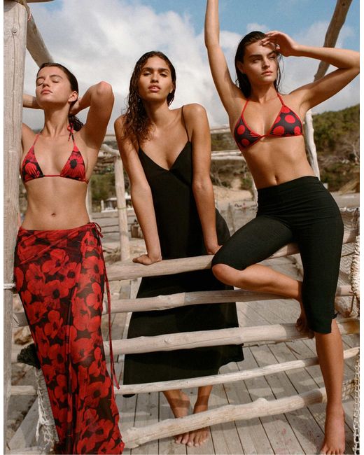 Haut Pull&Bear en coloris Brown