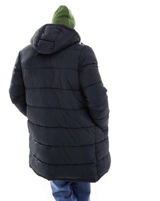 Chaqueta Acolchada Larga Negra Cooper De SELECTED de hombre de color Blue