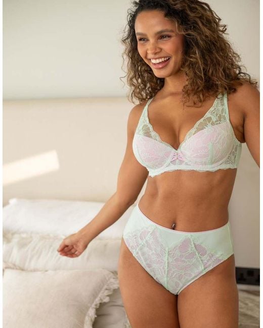 Pour Moi Natural Atelier Lace High Apex Lightly Padded Underwired Bra