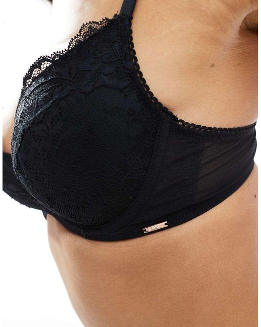 DORINA Black Origins Lace Padded Push Up Bra