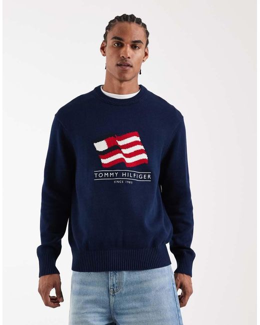 Tommy Hilfiger Blue Cotton Waving Flag Logo Knit Sweater for men