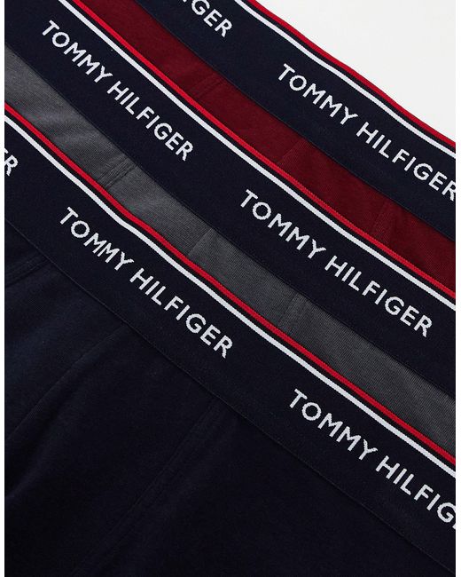 Tommy Hilfiger Multicolor 3-pack Trunks With Logo Waistband for men
