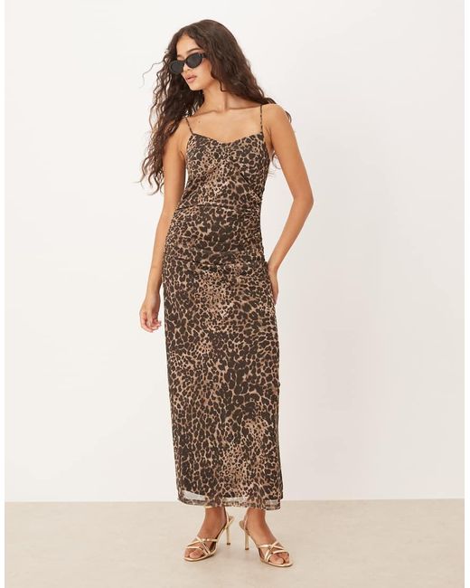 Vestito Midi Attillato Con Stampa Leopardata E Arricciature di Mango in Natural