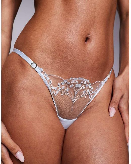 Bluebella Brown Bella Marisa Embroidered Sheer Briefs