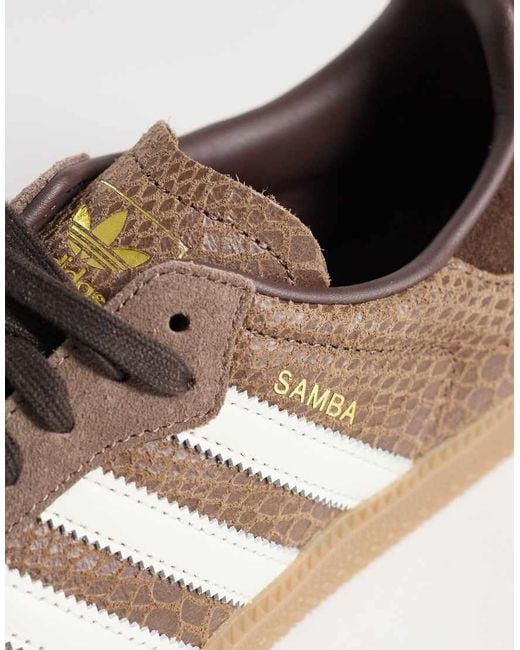 Adidas Originals Brown Samba Og Trainers for men