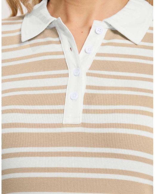 Long Tall Sally White Stripe Polo Top