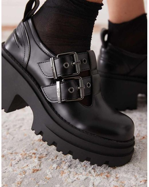 Bravr di Buffalo in Black