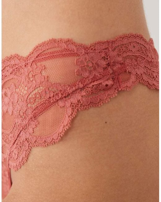 ASOS Brown Lola Lace Thong