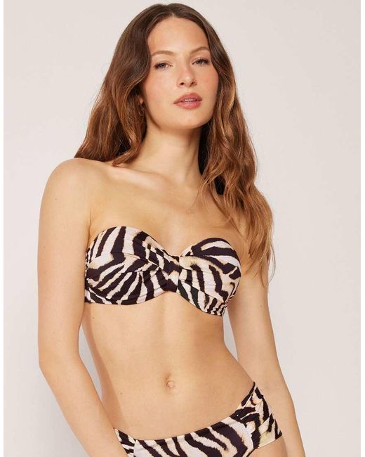 Calzedonia Black Fuller Bust Bandeau Bikini Top Savannah Zebra