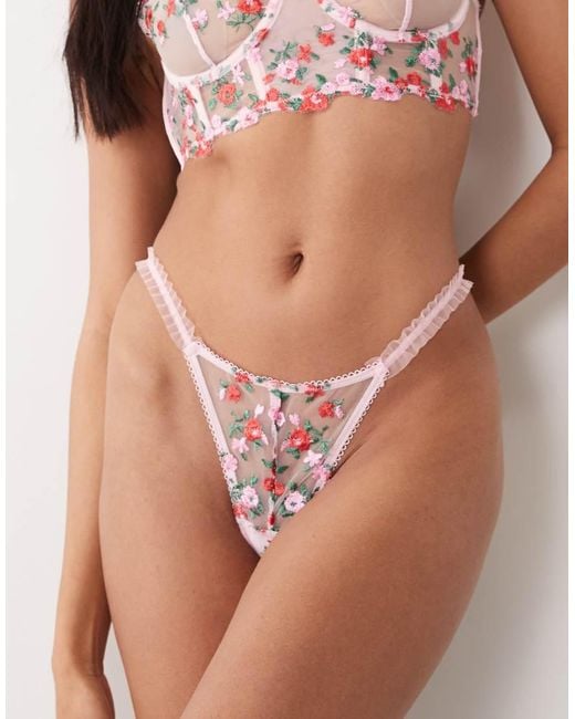 Wild Lovers Pink Suzette Embroidered Floral Mesh Briefs