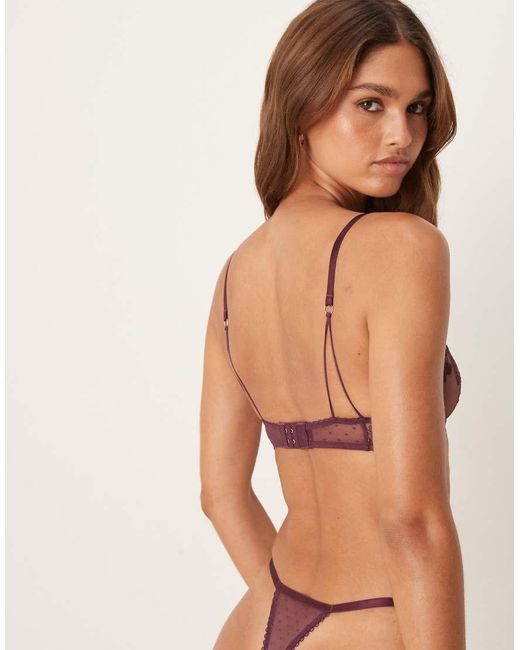 KAT THE LABEL Brown Nicolette Lace Thong