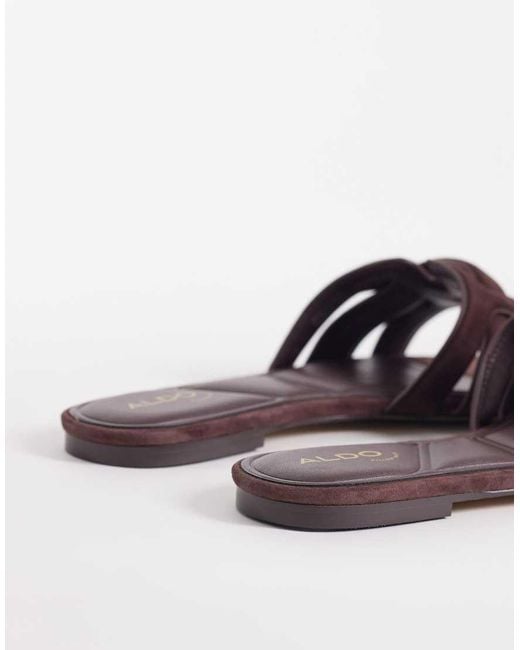 ALDO Brown Elenaria Flat Sandal