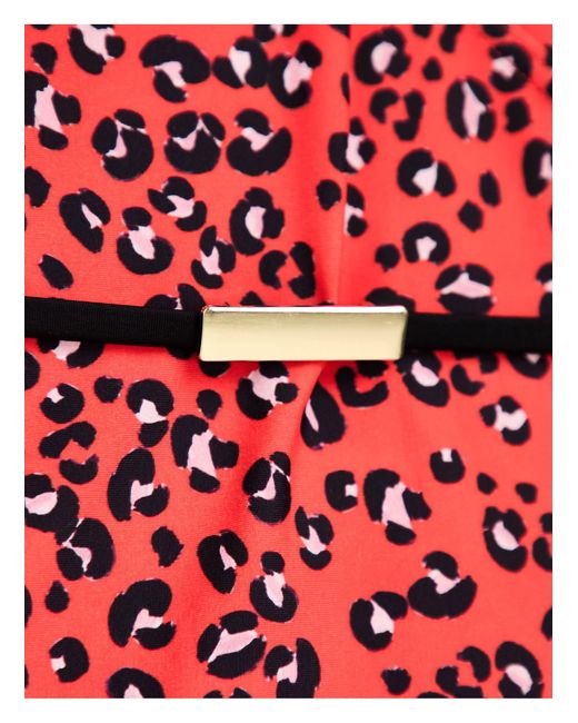 Figleaves Red Tall – badeanzug mit gürteldetail und leopardenmuster