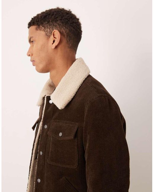 Mango Brown 100% Cotton Cord Jacket With Borg Collar for men