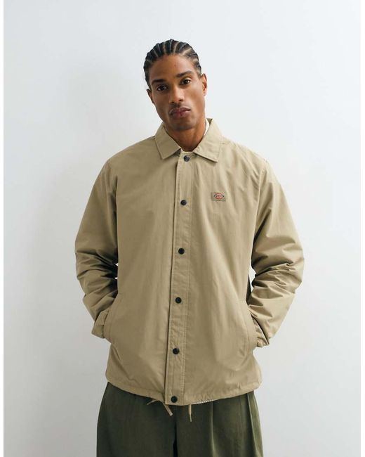 Dickies Natural Oakport Coach Jacket