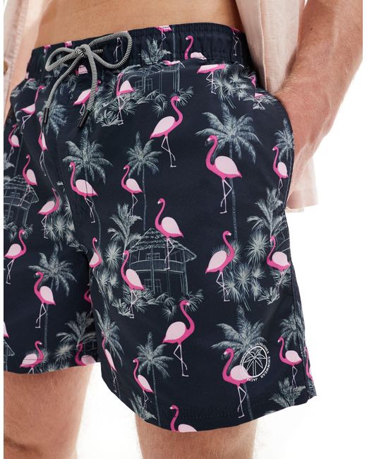 Jack & Jones – badeshorts mit flamingodruck in Blue für Herren