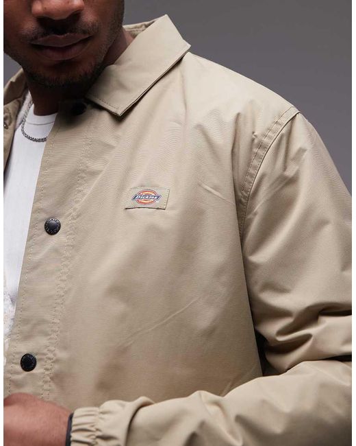 Dickies Oakport in het Natural