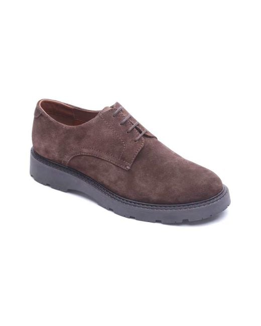 Base London Brown Vector Lace Up Shoe for men